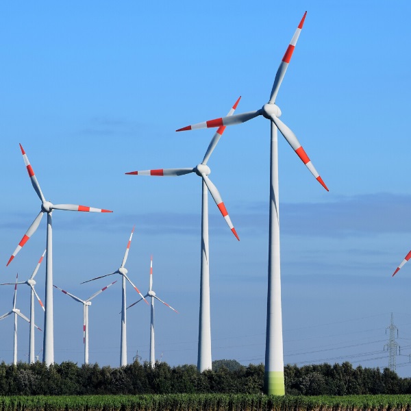 ein Windpark mit vielen Windenergieanlagen ist zu sehen vor blauem Himmel