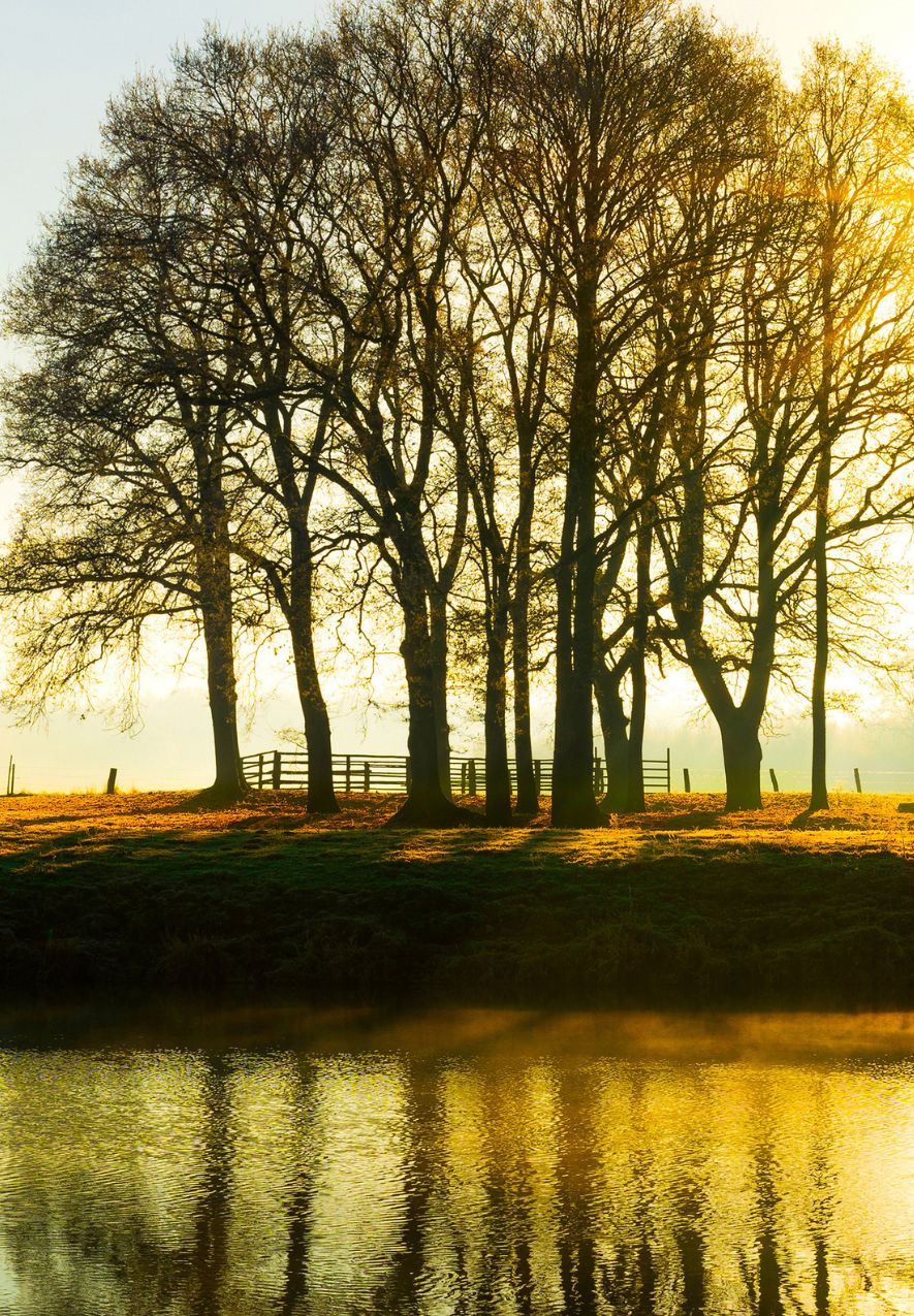 Dortmund-Ems Kanal im Emsland