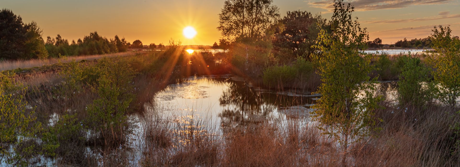 Biourtanger Moor in der Nähe von Twist