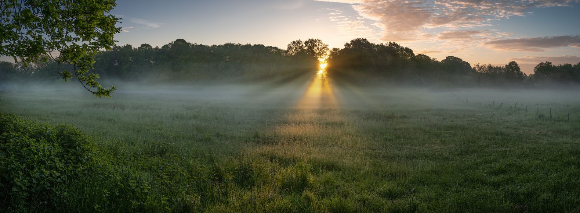 Sonnenaufgang in Freren im Emsland