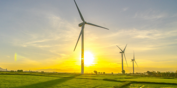 Windkrafträder in der Natur