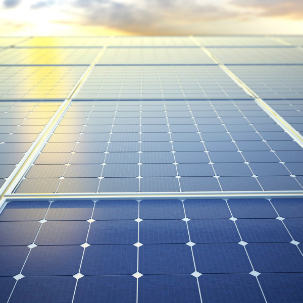 Nahaufnahme von Solarpanelen bei Sonnenaufgang.