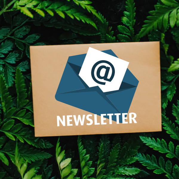 Grafik mit Briefumschlag und "Newsletter" auf einem grünen Blätterhintergrund.