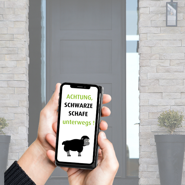 Hand mit Handy, das ein schwarzes Schaf zeigt
