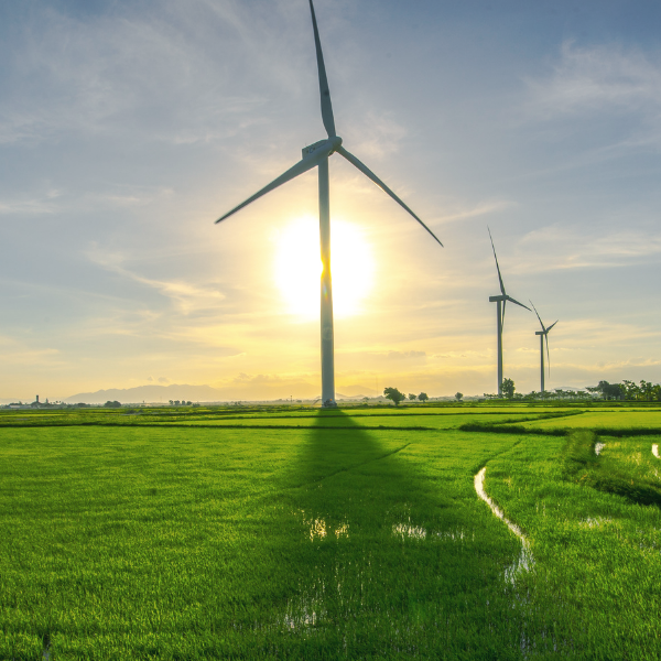 Windräder auf grüner Wiese
