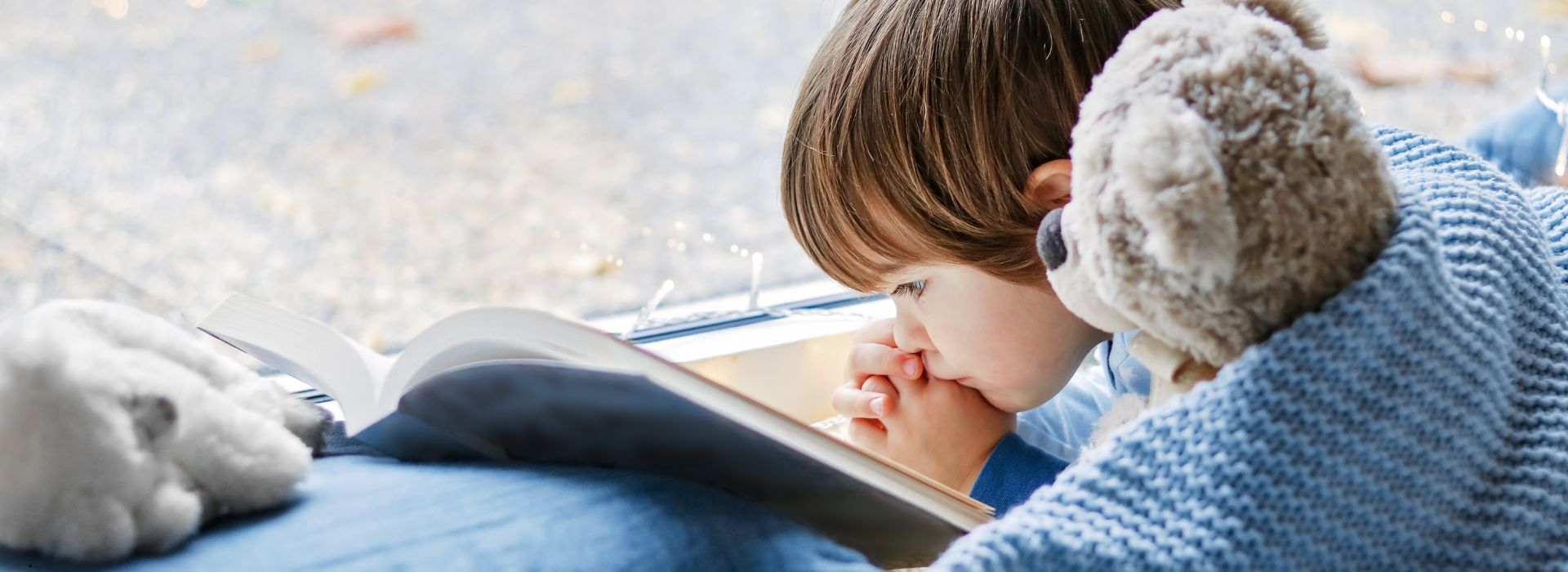 Junge liest ein Buch und kuschelt in einer Decke