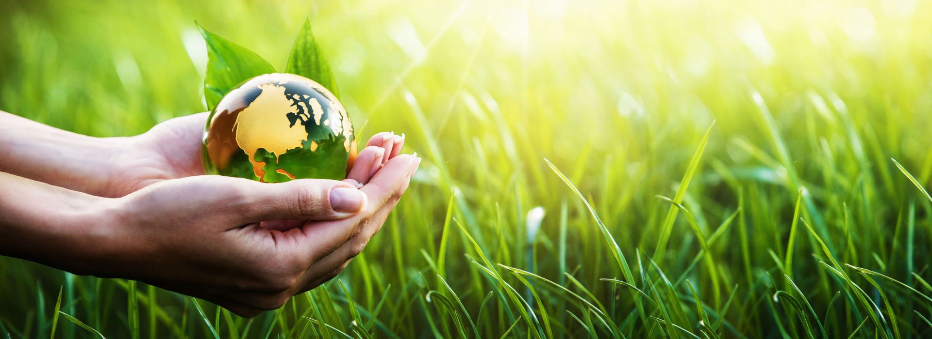 Hand hält eine Weltkugel und streckt diese auf einer Wiese